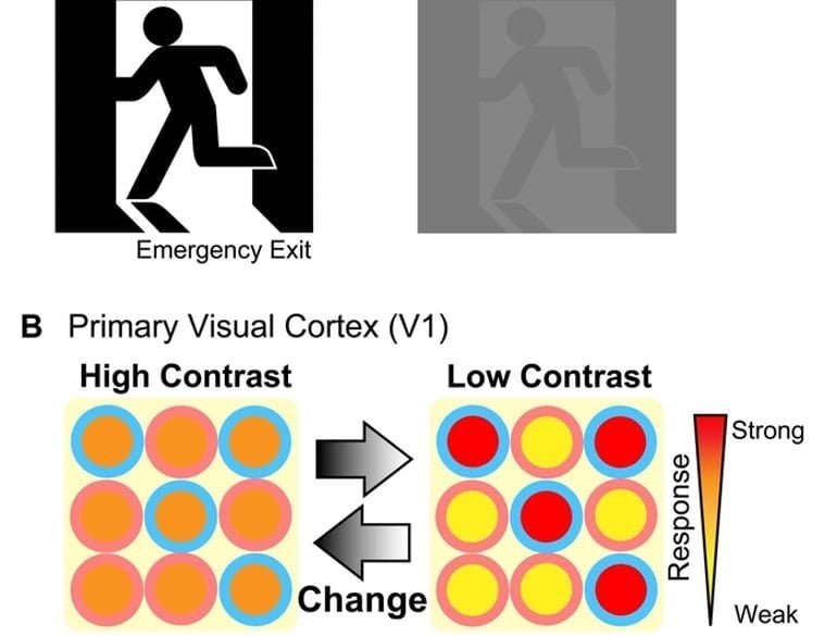 This shows an exit sign in high and low contrast and dots