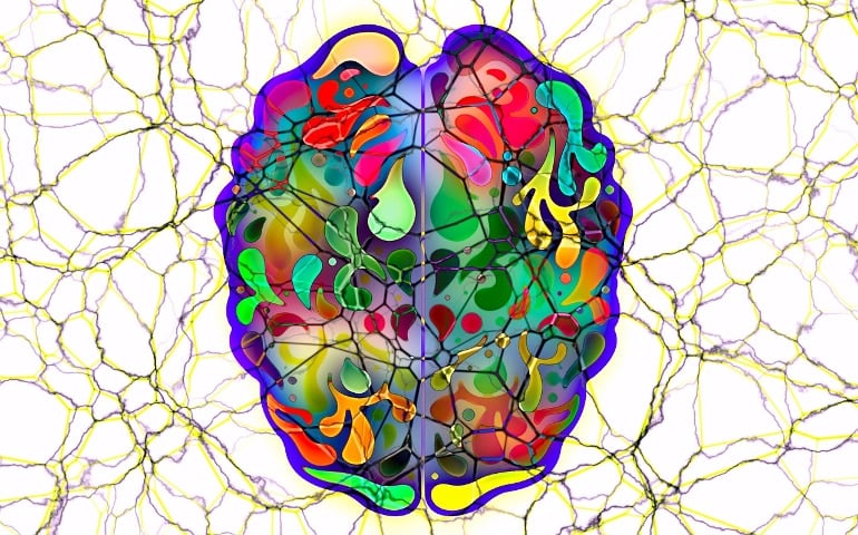 This shows a colorful brain