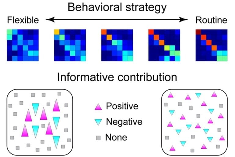 This is a diagram from the study