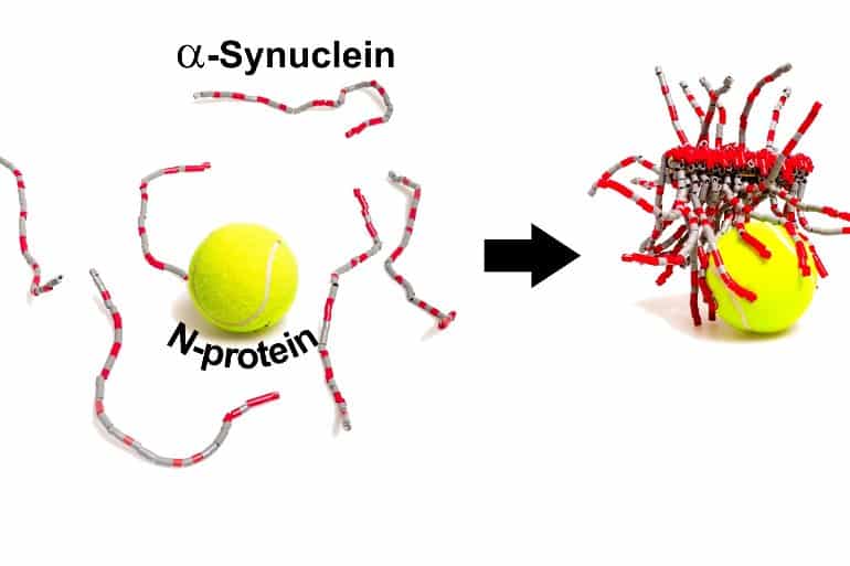 This shows two tennis balls and strings