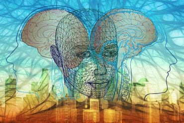 This shows the outline of a face and two brains over a cityscape
