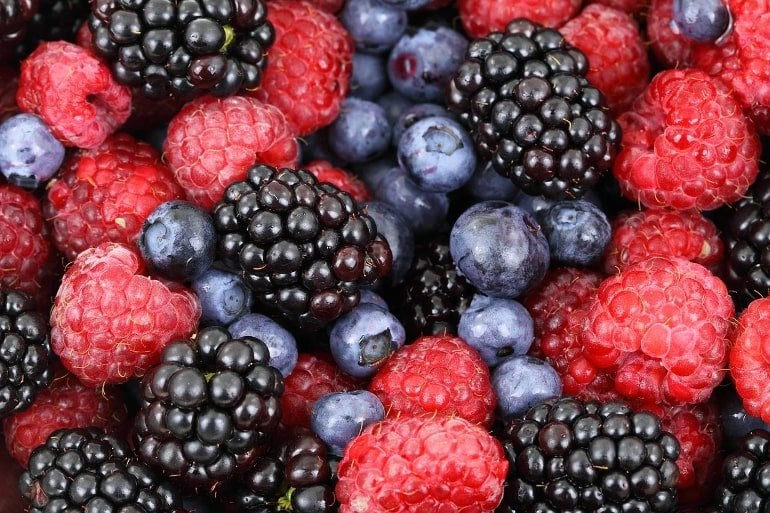 This shows berries