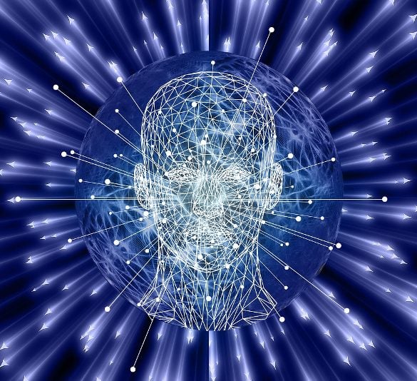 This shows the outline of a head