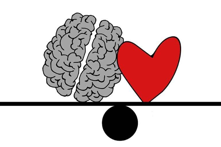 This shows a drawing of a heart and brain
