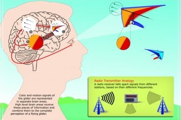 This is a diagram showing a person's head and a radio transmitter