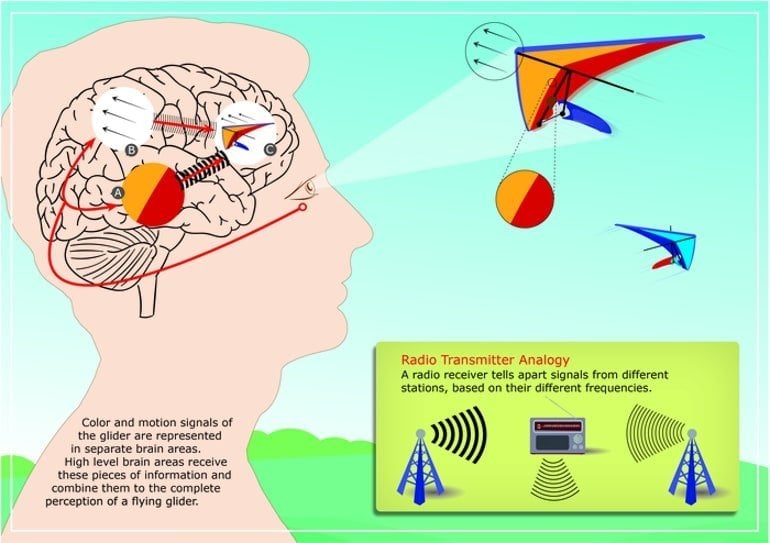 This is a diagram showing a person's head and a radio transmitter