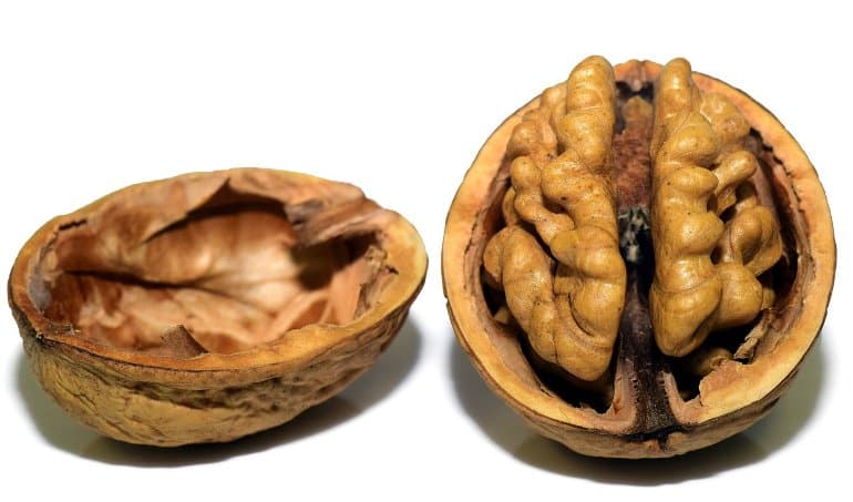 This shows a walnut that looks like a brain