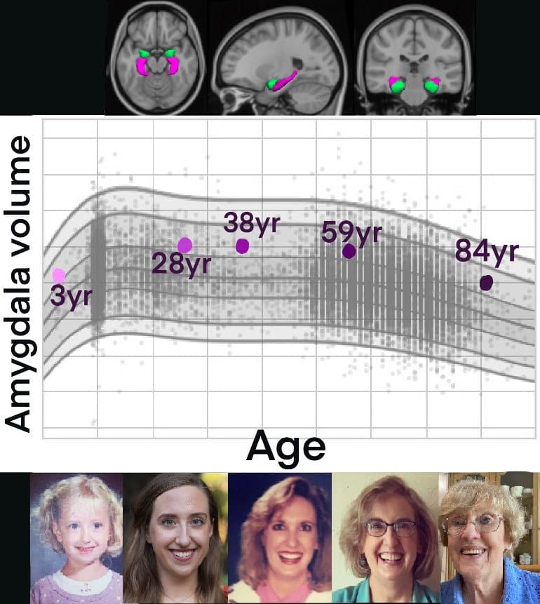 What do you online know about mental development