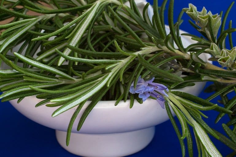 This shows rosemary in a bowl