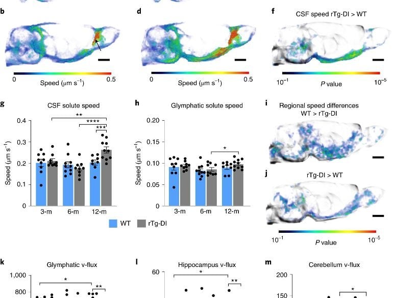 This shows a diagram from the study