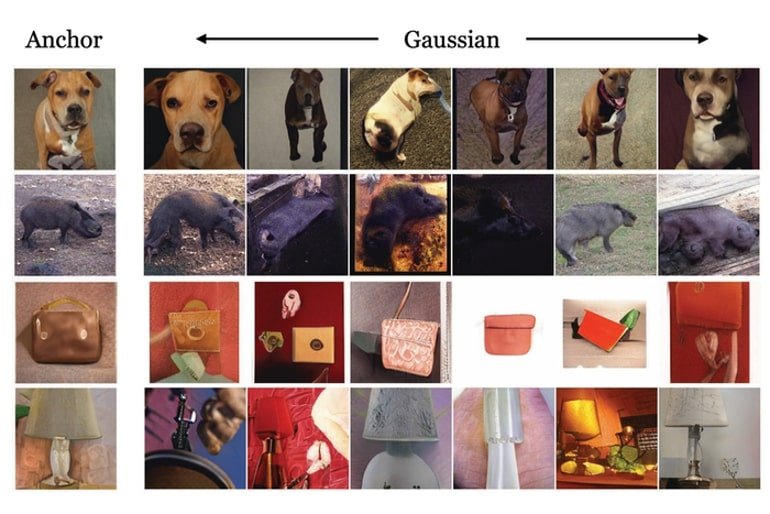 This shows datasets of dogs, lamps and bags