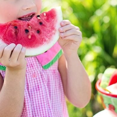 This shows a little girl eating a watermelon slice