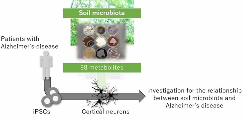 This is a diagram from the study