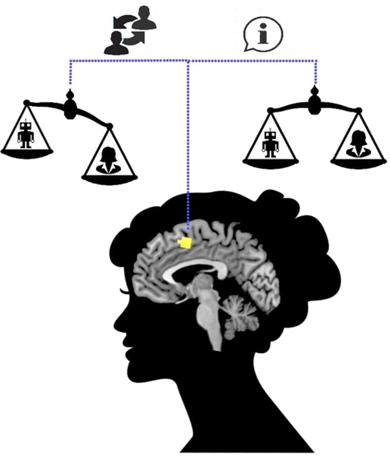 This shows a woman's head with an exposed brain and a scale above