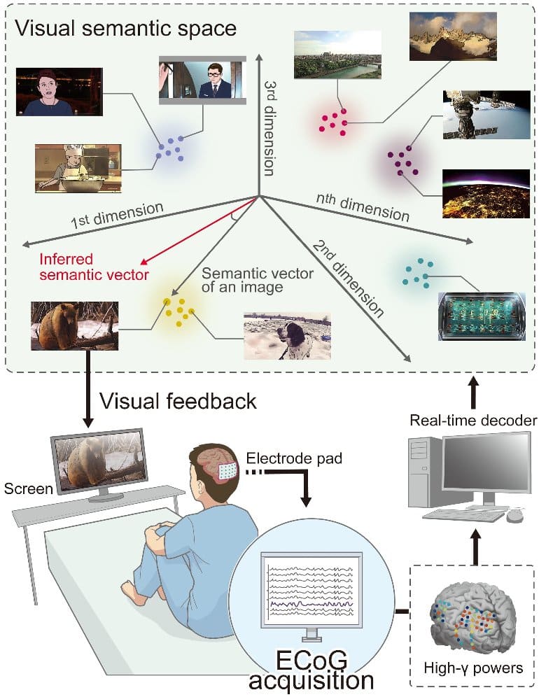 Why the Brain Is Programmed to See Faces in Everyday Objects - Neuroscience  News