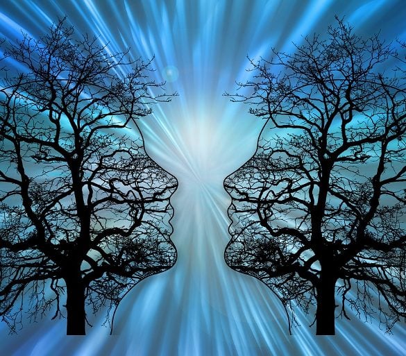 This shows two heads made up of tree branches