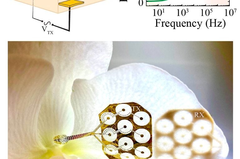 This shows a diagram from the study