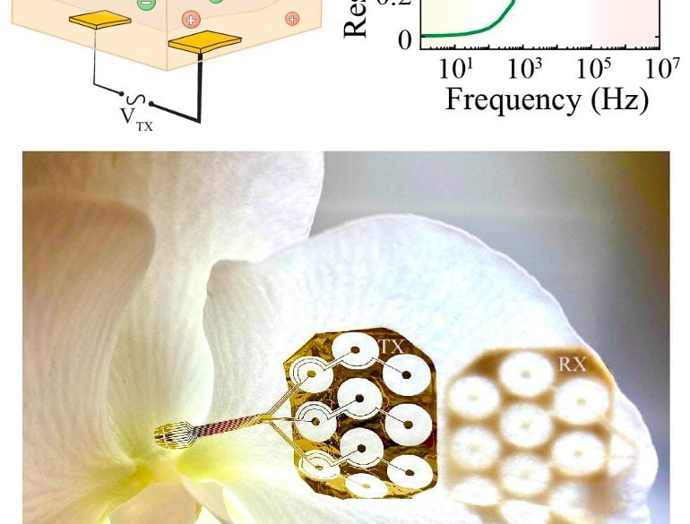 This shows a diagram from the study