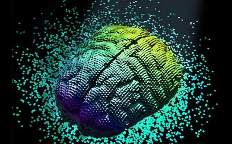 This shows a computer model of a brain