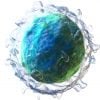This shows a 3D rendering of a B cell