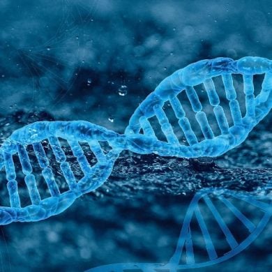 This shows dna