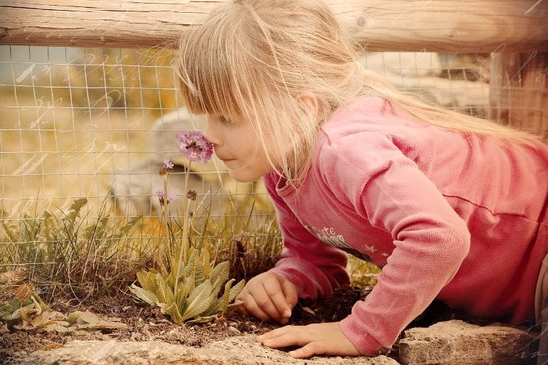 This shows a little girl smelling a flower