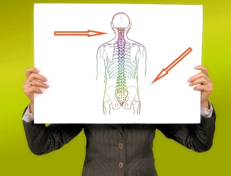 This shows a picture of a person holding up a diagram of the spine