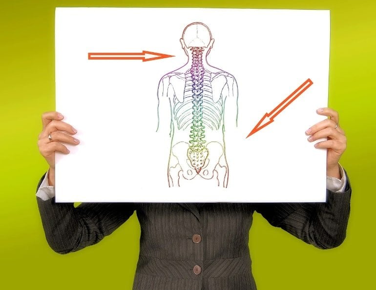 This shows a picture of a person holding up a diagram of the spine