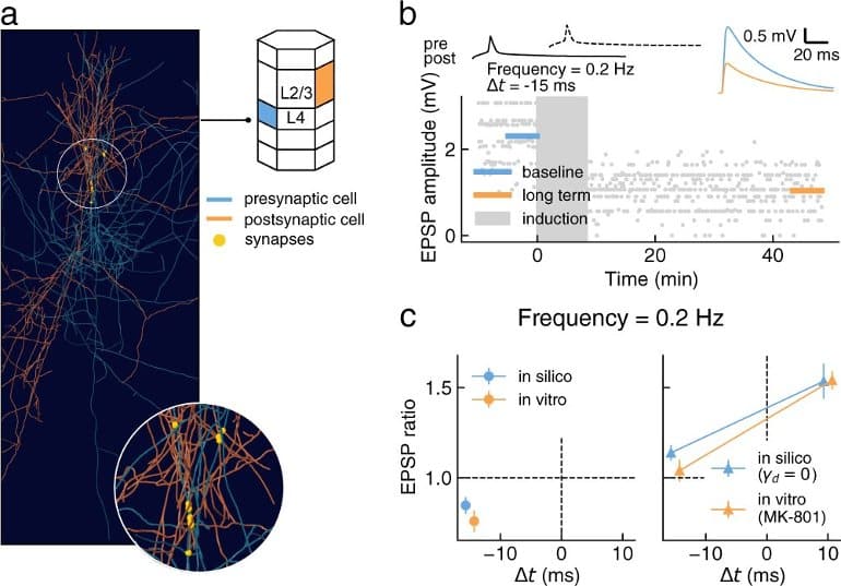 This shows data from the study