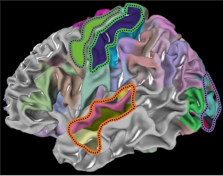 This shows the brain with the different areas mapped