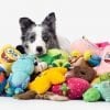This shows a dog with a lot of snuggly toys