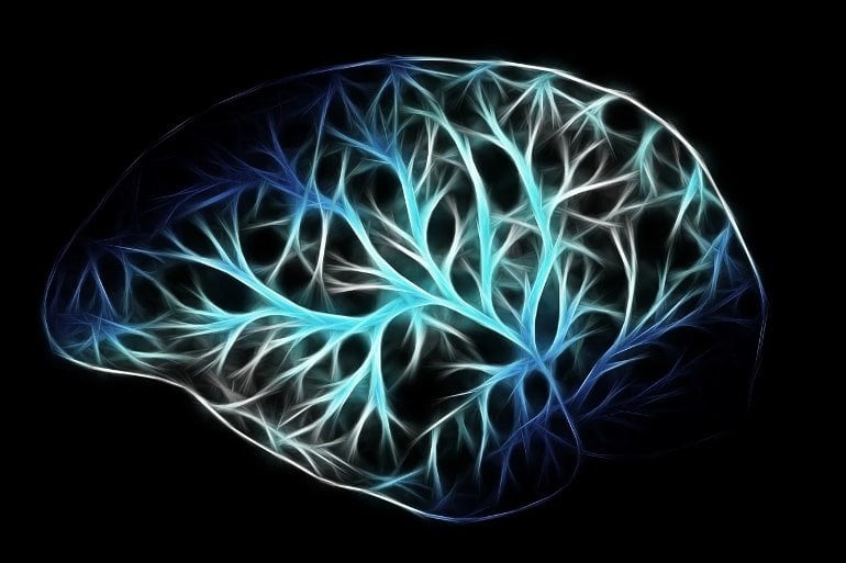 Las enzimas se utilizan para cambiar la forma en que las células cerebrales se comunican entre sí.