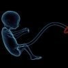 This shows a drawing of a fetus in the womb