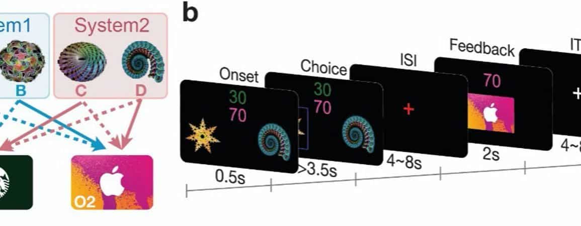 How Problems Are Mapped in the Brain