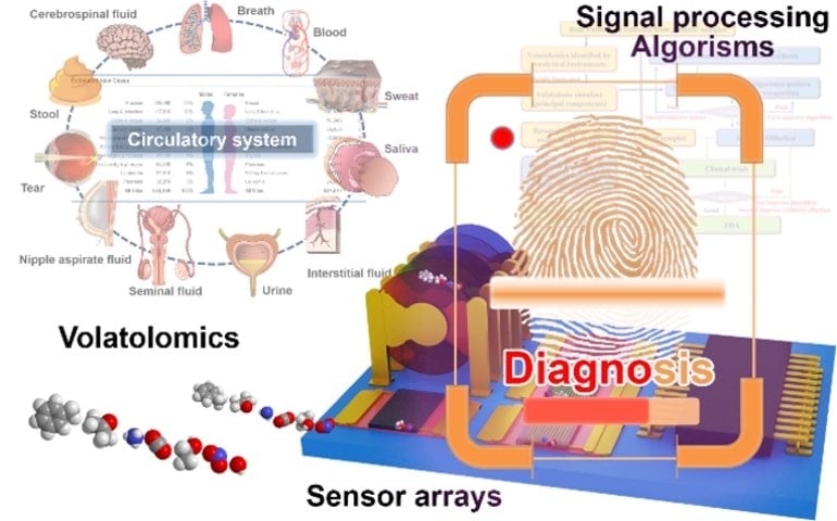 This shows a diagram from the study