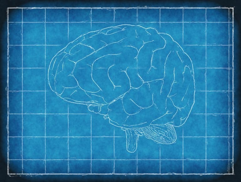 This shows a blue print of a brain