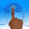 This shows a brain being touched by a finger