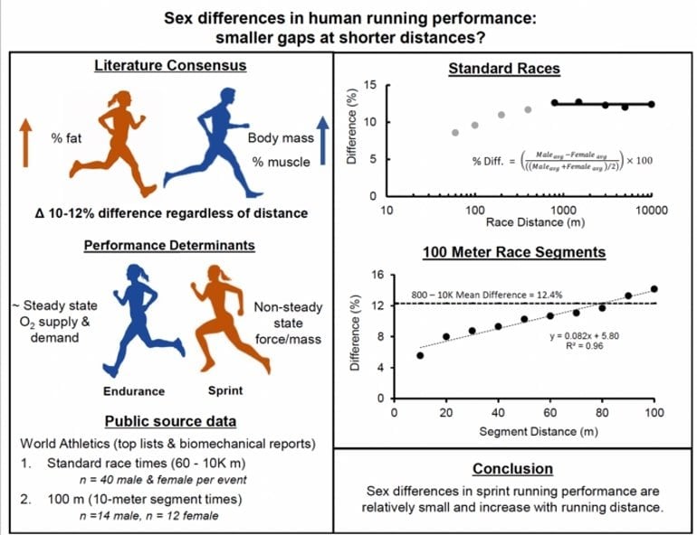 Why do girls run slower than boys?