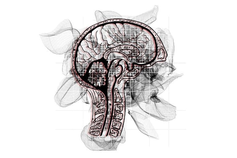 antisocial personality disorder brain abnormalities