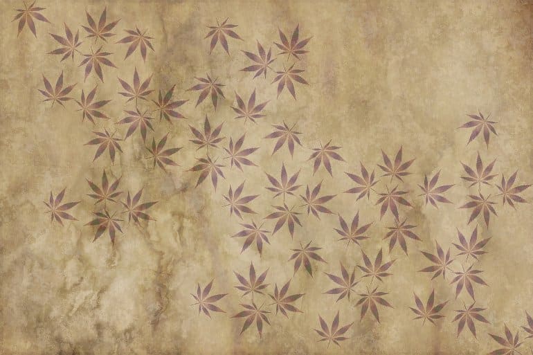 This shows drawings of cannabis leaves