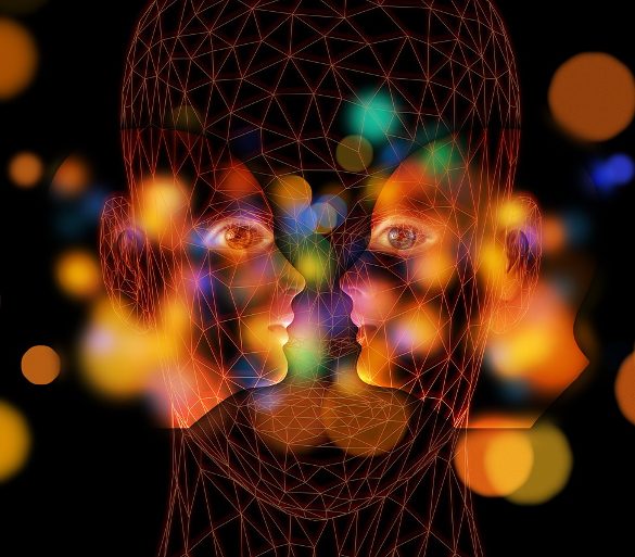 This shows an outline of a head