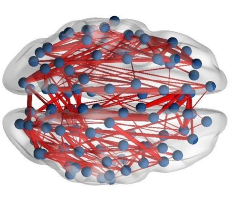 structure-of-adult-brain-previously-thought-to-be-fixed-is-altered-by-depression-treatment-neuroscience-news