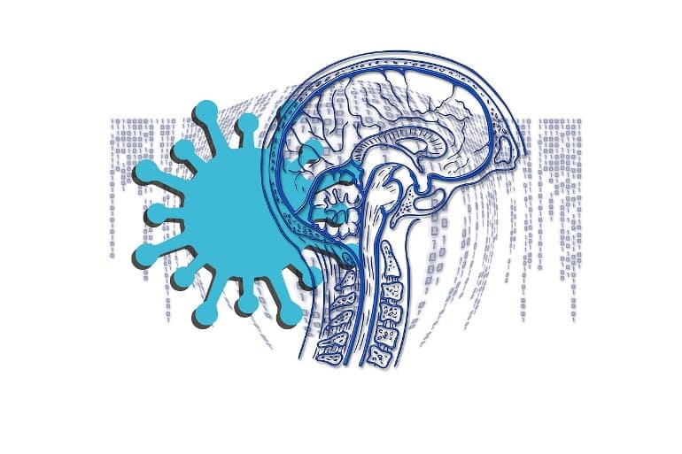 This shows a encephalon  and covid-19