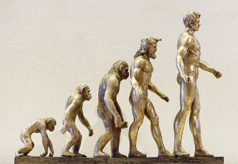 This is a statue of the evolution of humans
