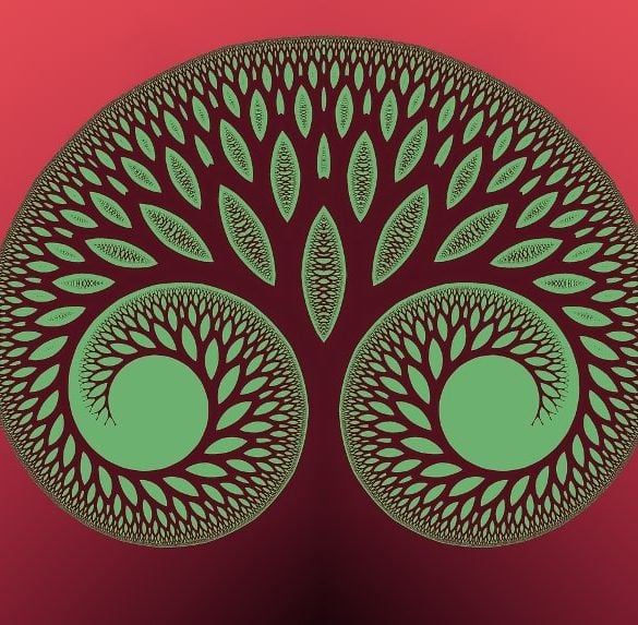 This shows a psychedelic brain