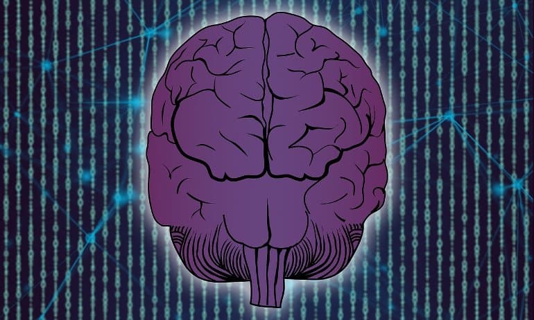 La respiración puede modular considerablemente las respuestas neuronales en todo el cerebro