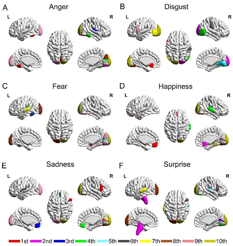 This shows the network patterns in the brain for different emotions
