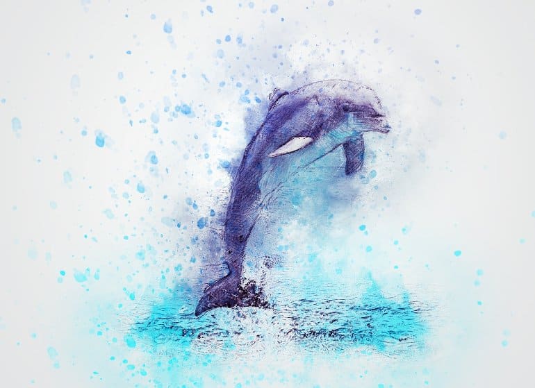 This shows a painting of a dolphin