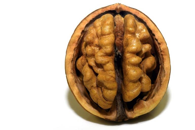 Nüsse sind die neue Gehirnnahrung für Stress