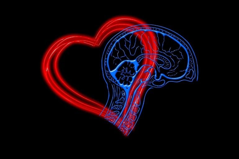 This shows a heart and a brain